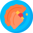 Flipper (Folded Pizza)