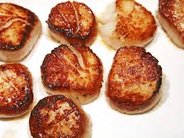 Scallop