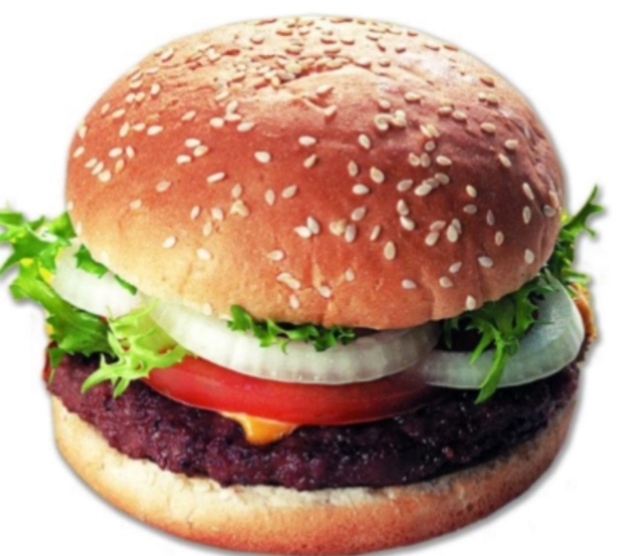 Single Plain Burger