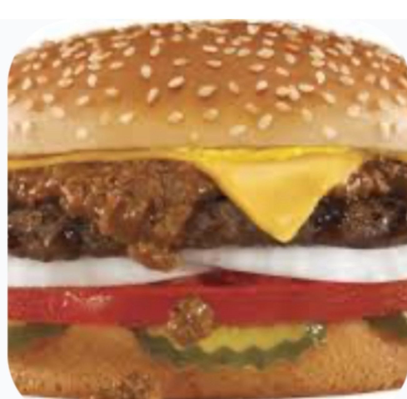 Tasty Burger