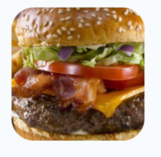 Double Plain Burger