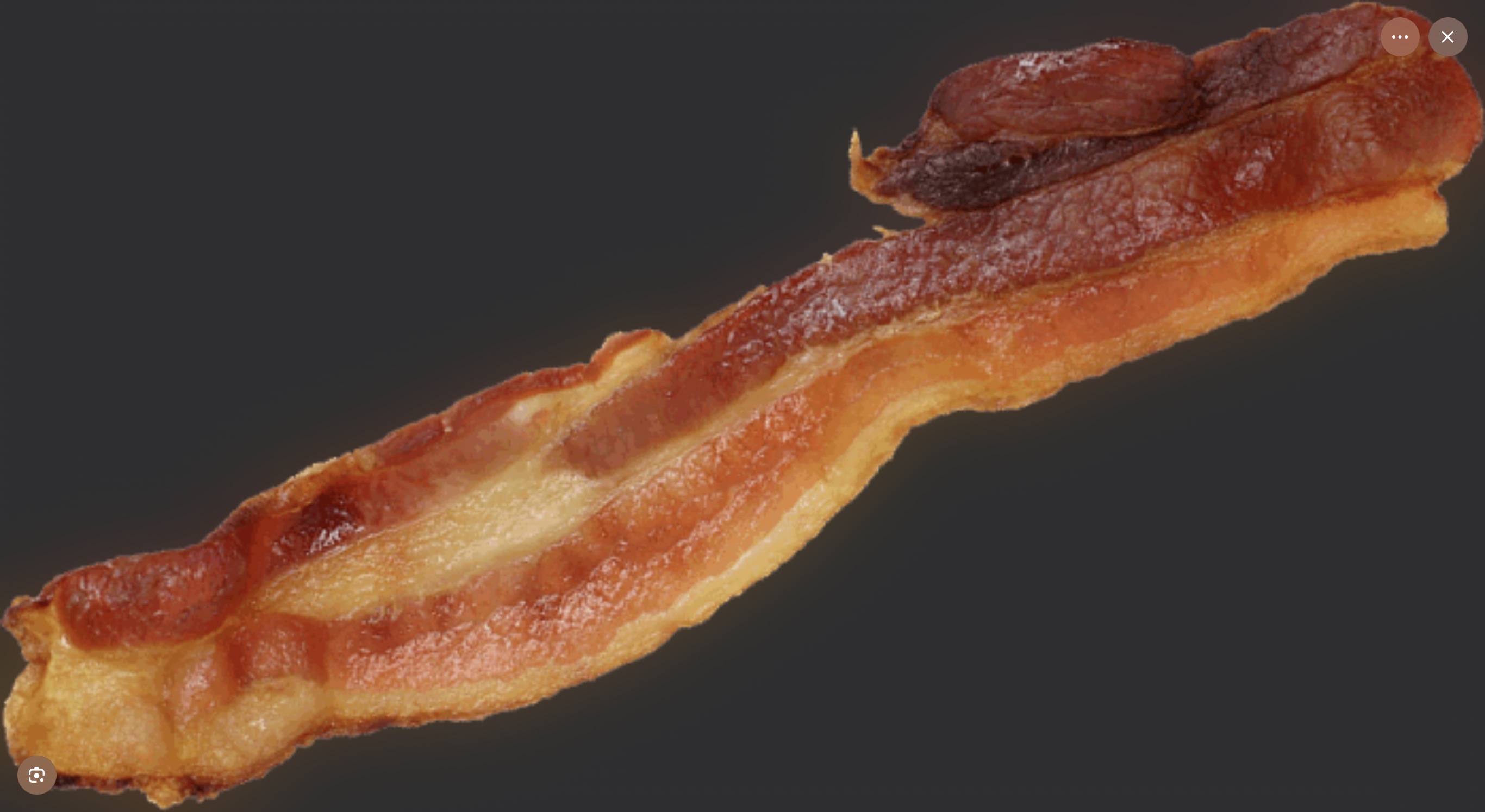 Bacon