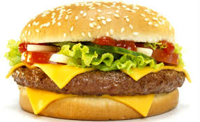 Single Cheese Burger