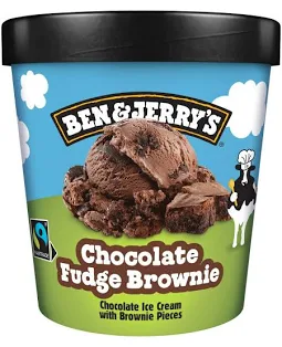 Ben & Jerry's Fudge Brownie