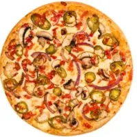 Vegetarian Hot