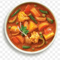 Vegetable and Paneer Korma