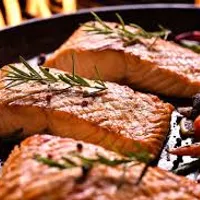 Fish Fuel Zone