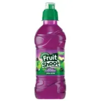 Fruit Shoot Black Currant